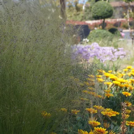 Les Jardins De Santa Giulia - Charmante Dhte بيت ضيافة