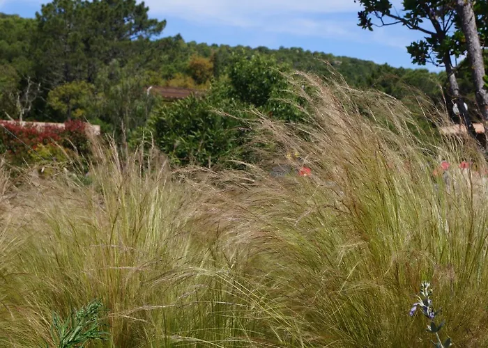 Les Jardins De Santa Giulia - Charmante Dhte