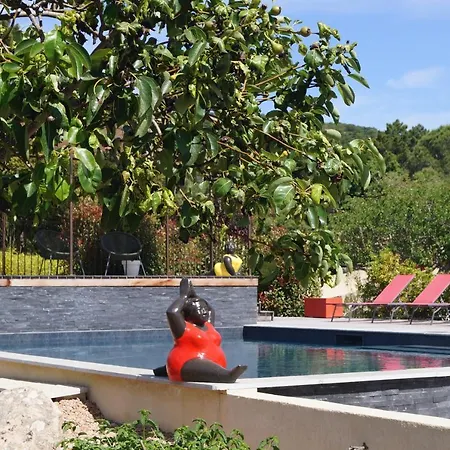 Les Jardins De Santa Giulia - Charmante Dhte Maison d'hôtes Porto-Vecchio (Corsica)