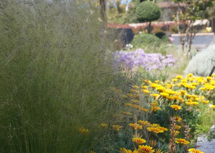 Les Jardins De Santa Giulia - Charmante Dhte Maison d'hôtes